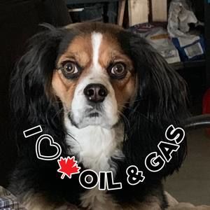 Meet your Posher, Joanne